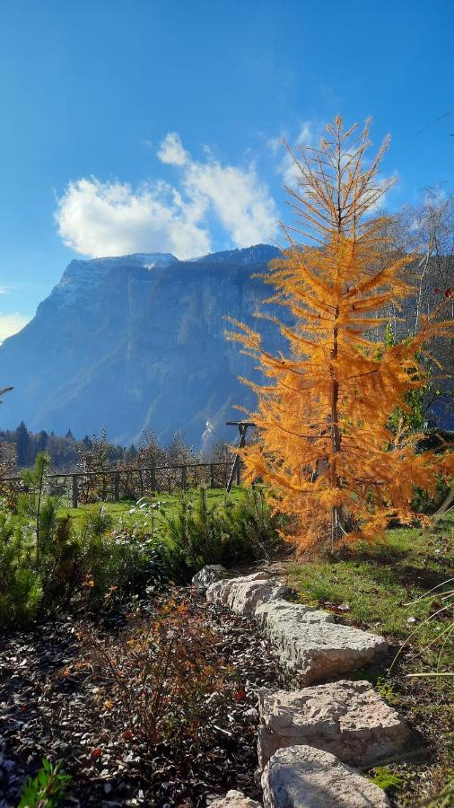 Il Giardino Di Anna - Appartamento 1 Fai della Paganella Exteriör bild